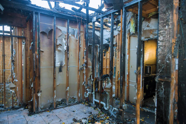 Professional Fire Damage Removal technician working in Montgomery, PA